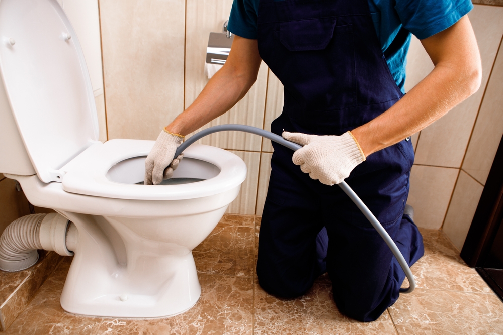 plumbing technician unclogs toilet