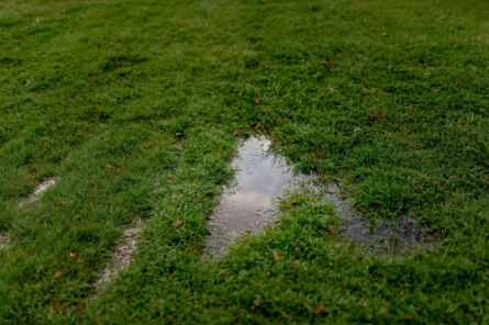 Standing water pooling on a lawn, showing a possible septic system drain field issue or failure.