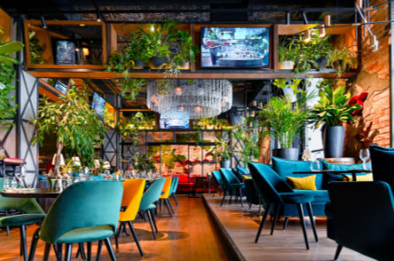 Upscale restaurant interior with seating and plants, representing commercial drain cleaning for food-service businesses.